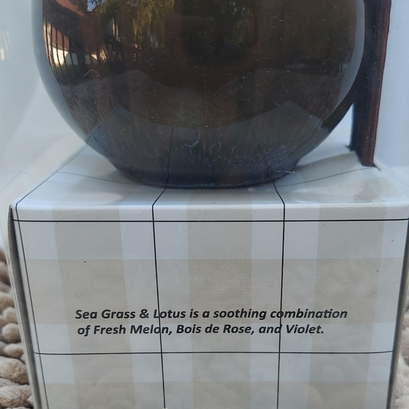 Indoor Air Freshener Sea Grass & Lotus Ceramic Reed Diffuser Home Fragrance Kit - Picture 3 of 5